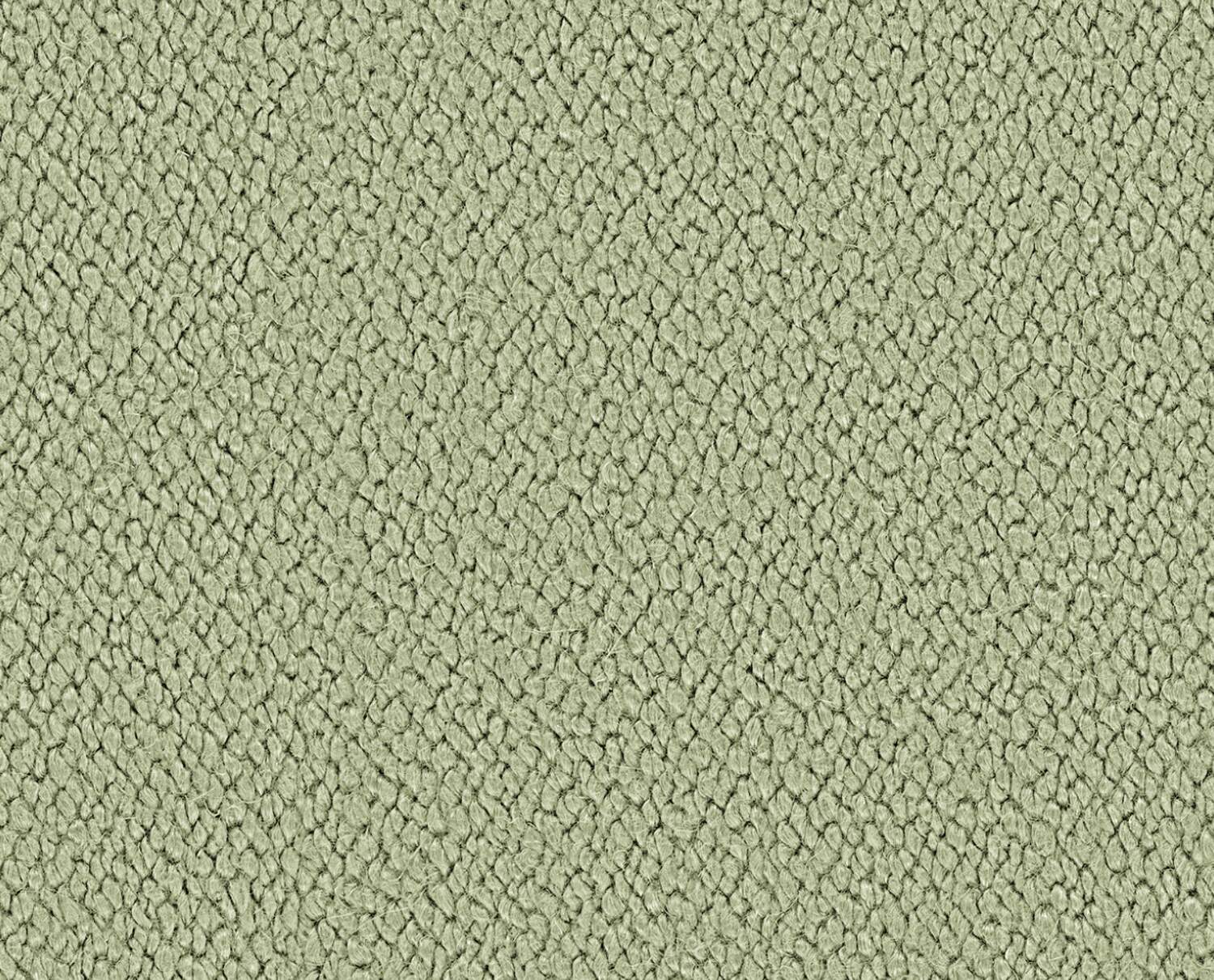 Verde Salvia