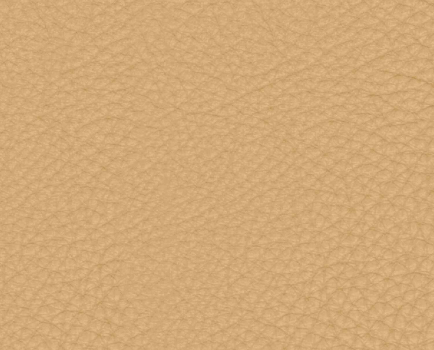 Biscotto