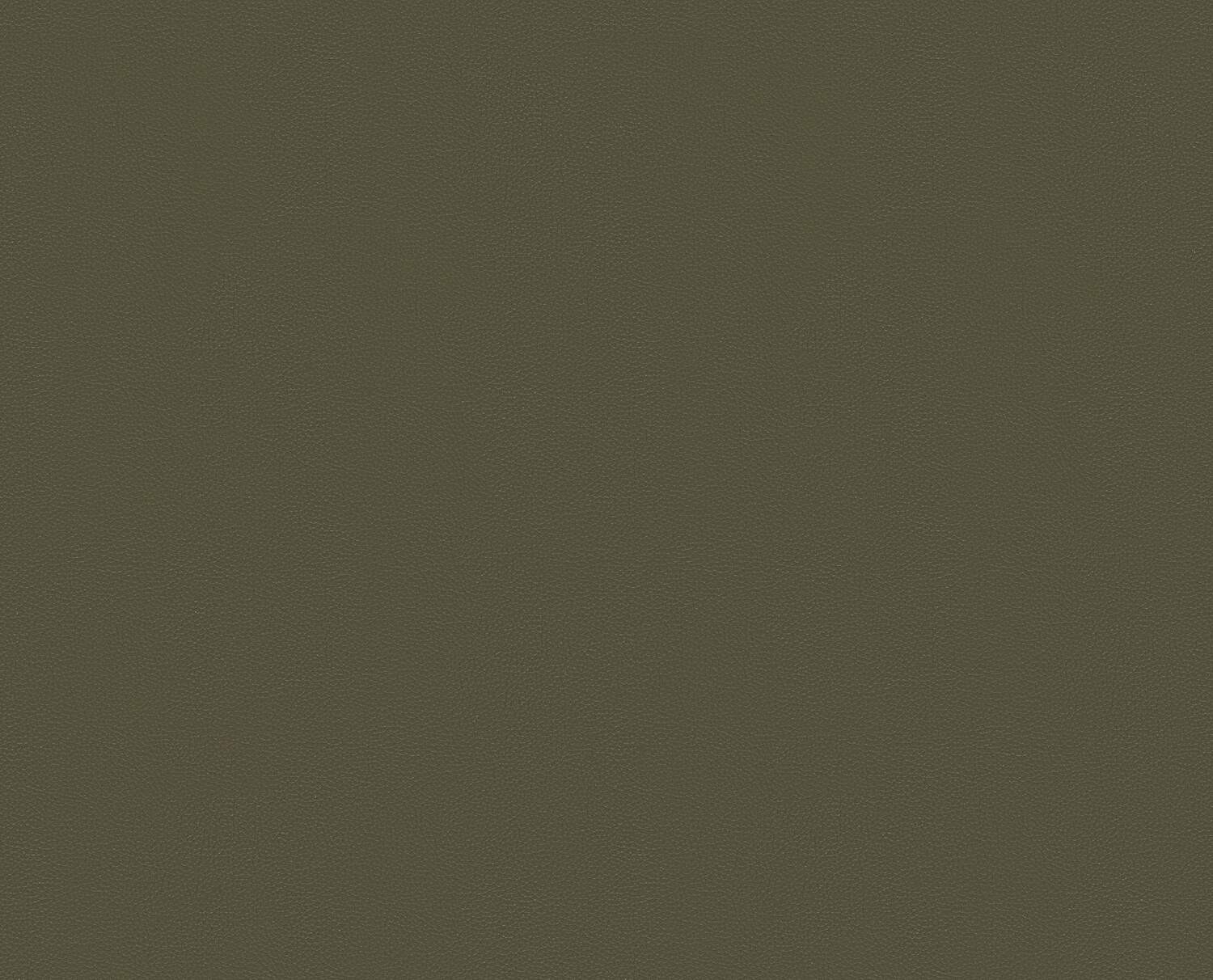 VERDE OLIVA